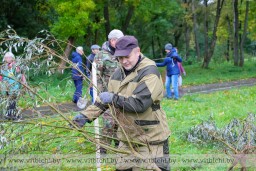  В Витебске на субботнике высадили несколько сотен деревьев и кустарников, а также создали первый «зеленый лабиринт» 