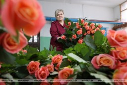 
  Около 10 тыс. тюльпанов и более 30 тыс. роз вырастил "Витебский Зеленстрой" к 8 Марта  