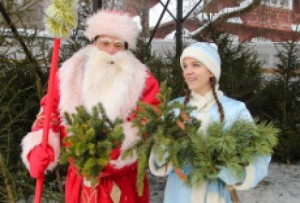 
 В Витебске открылись ёлочные базары. Как выбрать идеальную новогоднюю ёлку?
      