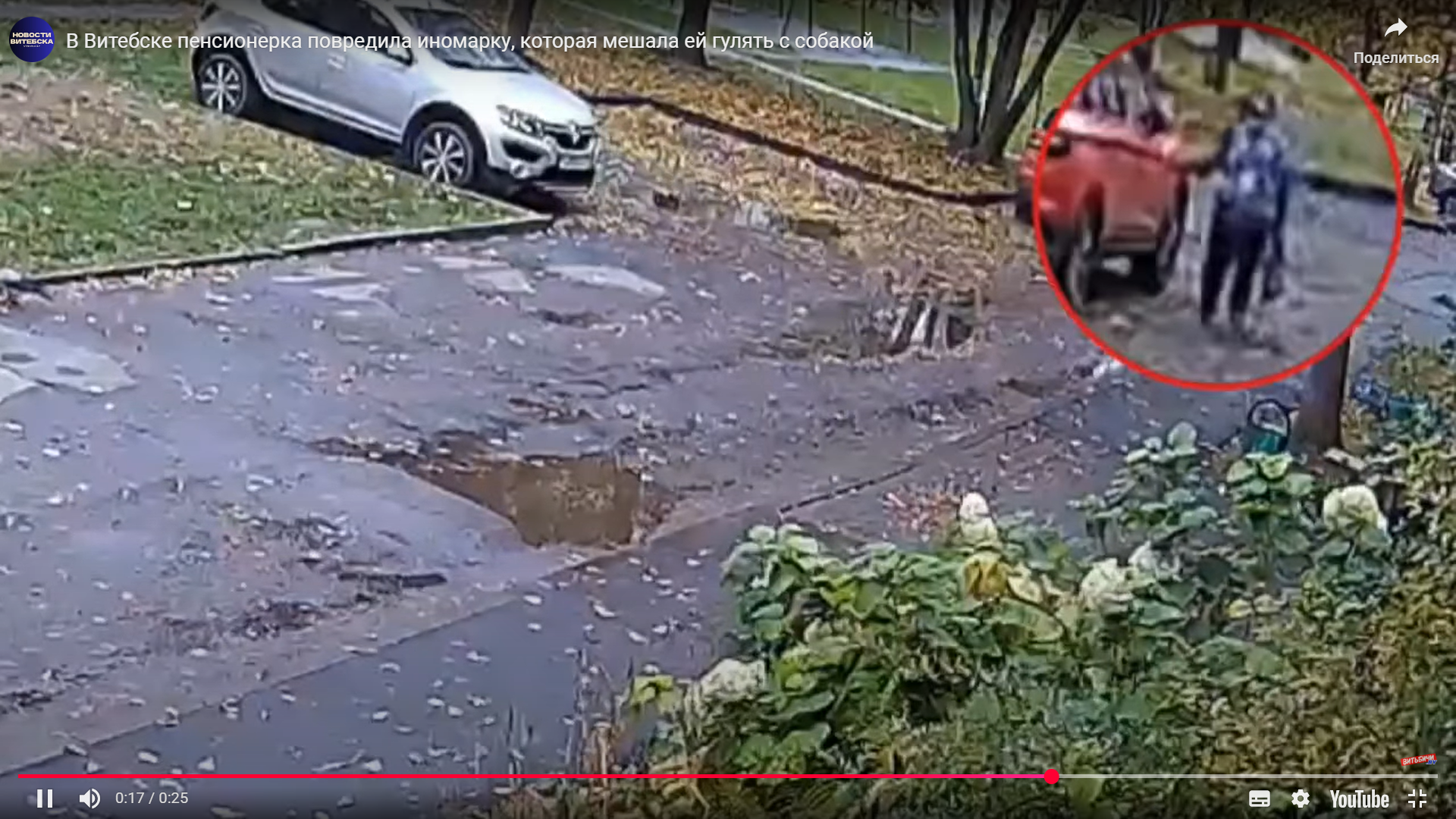 В Витебске пенсионерка повредила иномарку, которая мешала ей гулять с собакой