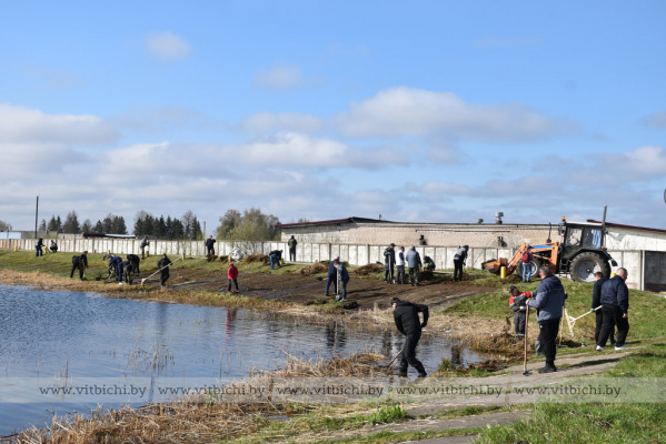 В Первомайском районе Витебска на субботнике приводили в порядок пляж в Сокольниках