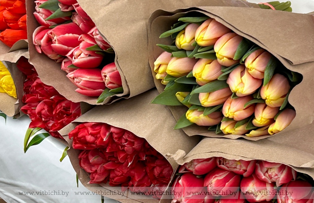 Цветочная ярмарка открылась в Витебске накануне 8 марта