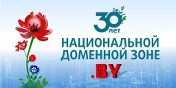 30 лет доменной зоне