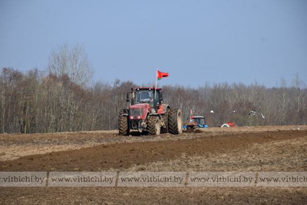 В Витебском районе официально дан старт посевной кампании