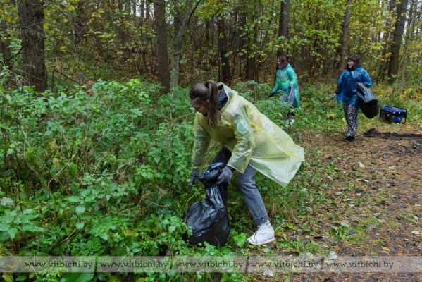 Участники городской экоигры «Чистые игры» собрали в лесопарковой зоне «Шпили» больше тонны мусора