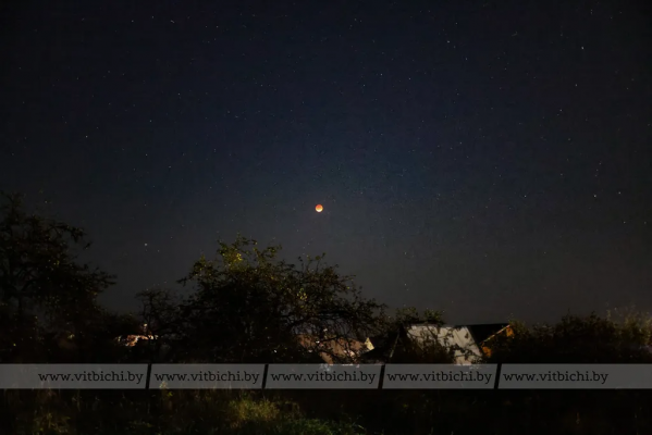 Витебчане смогли увидеть полное лунное затмение