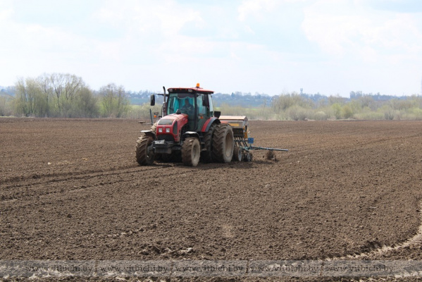 В Витебской области приступили к севу ранних яровых культур