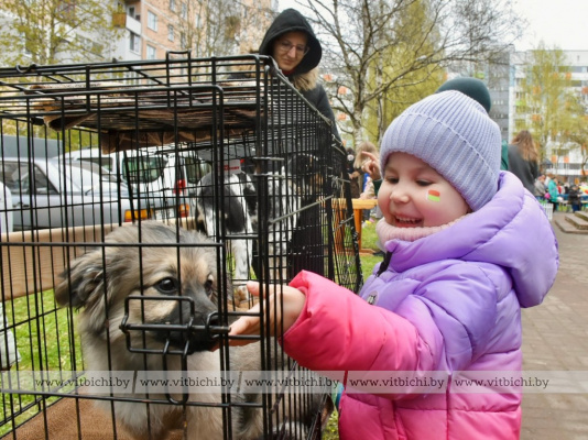 Традиционная первомайская маёвка проходит во дворе дома 18/2 по проспекту Строителей в Витебске