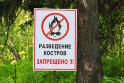 На разведение костров на всей территории общего пользования города Витебска введен запрет