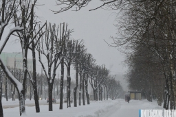 В Витебской области на 7 февраля прогнозируется ухудшение погодных условий