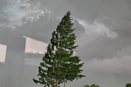 16 и 17 декабря в Витебске и по области ожидается усиление ветра до 15-20 м/с