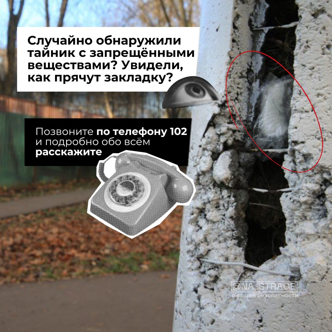 Инфографика