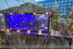 Куда сходить на Рождество в Витебске