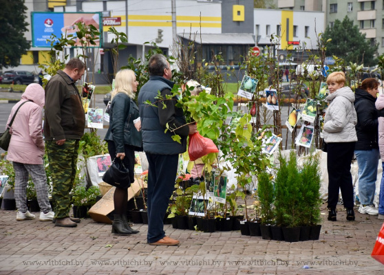 Когда в Витебске пройдет осенняя ярмарка продукции учреждений образования области «Восеньскі карагод»?
