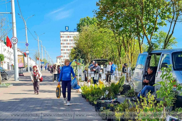 Осенние ярмарки стартуют в Витебске: полное расписание на сентябрь и октябрь