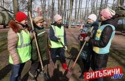 В Витебске с 15 сентября пройдет месячник по санитарной очистке и благоустройству