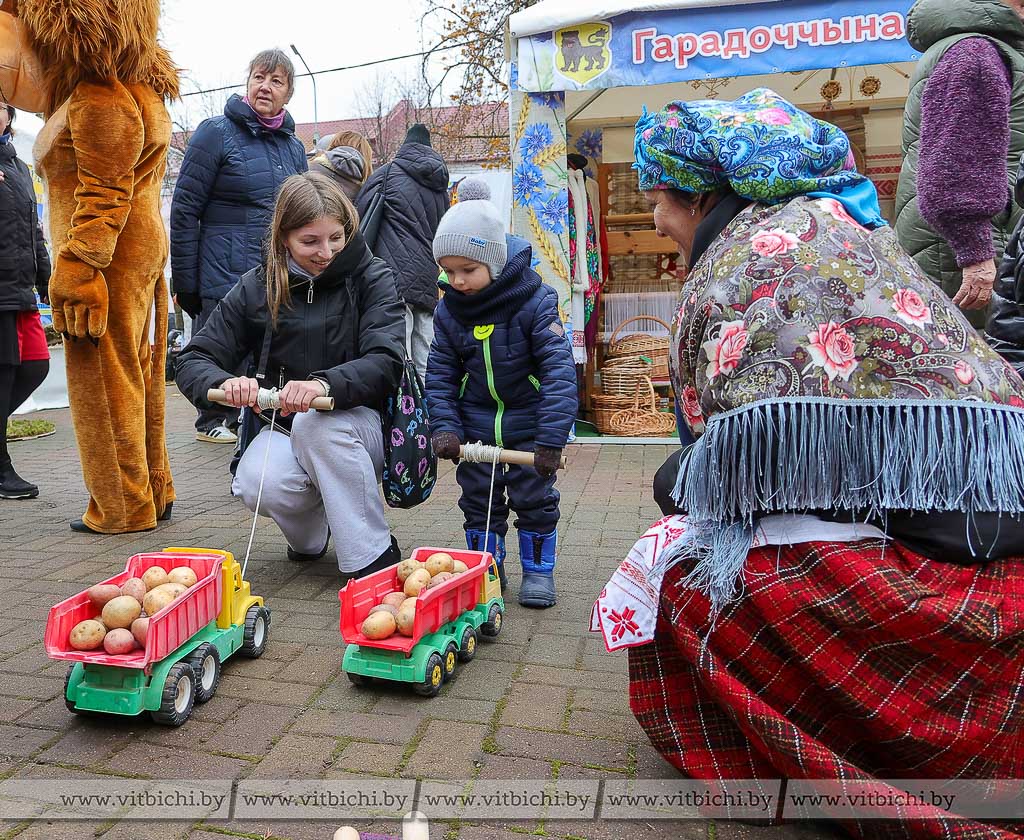 Областной фестиваль-ярмарка тружеников села «Дажынкi-2024» в Полоцке - Фоторепортаж vitbichi.by