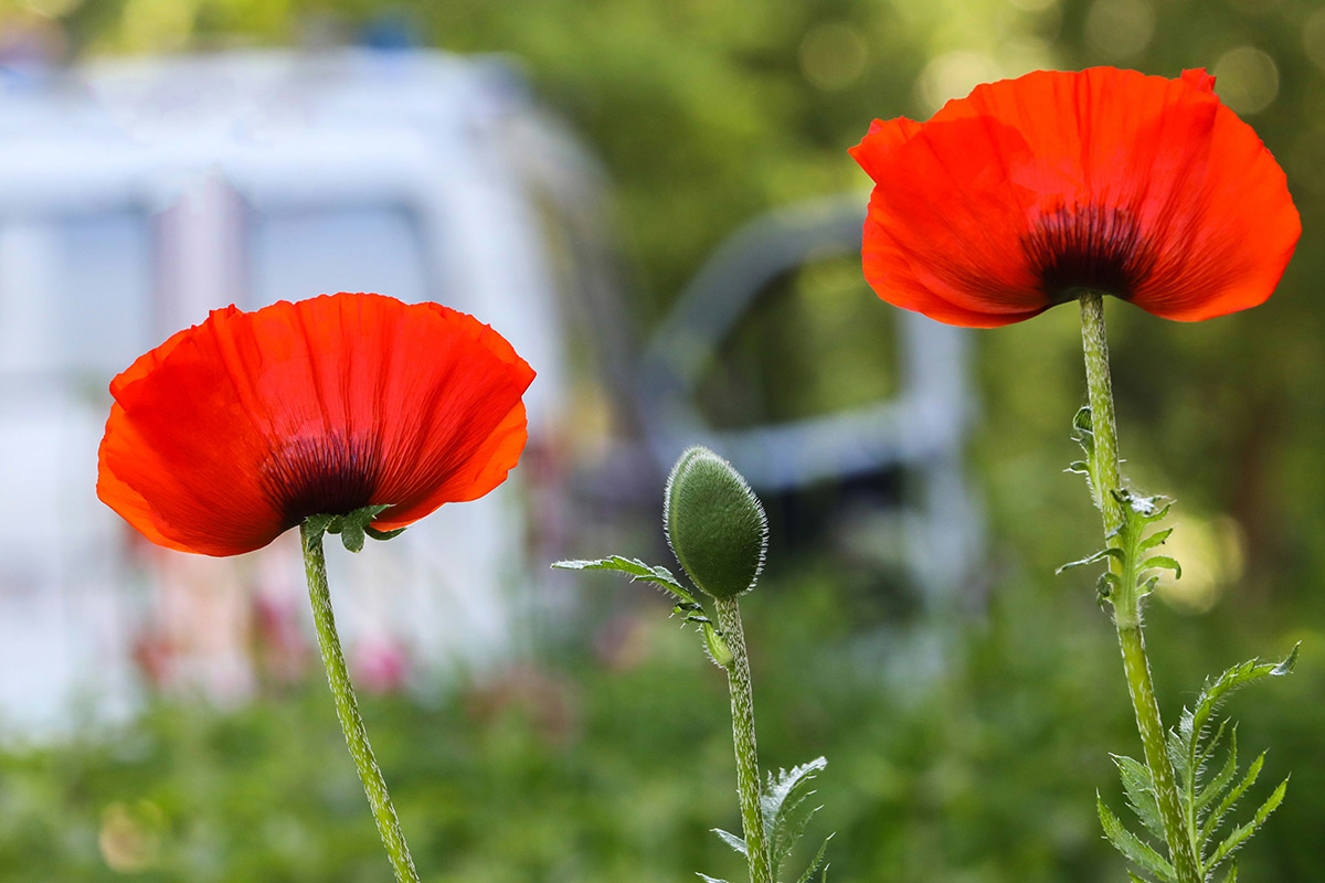 МАКсимальный контроль!