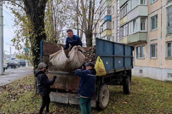 В Витебске продлили осенний месячник по озеленению, санитарной очистке и благоустройству