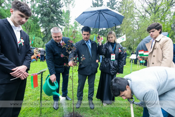 В Витебске заложили Аллею 80-летия Великой Победы
