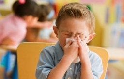 Учащиеся с симптомами ОРВИ могут не посещать занятия без справки до 5 дней