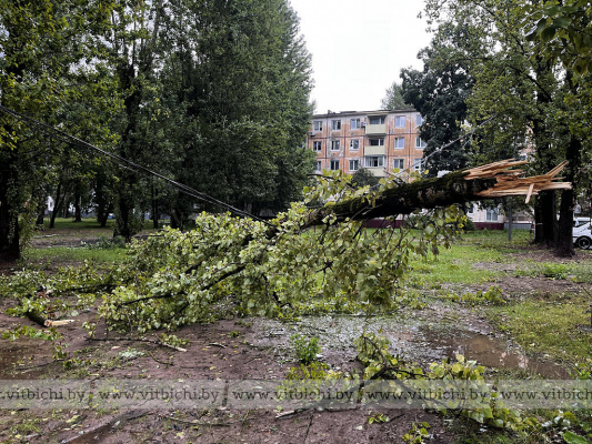 Утренняя стихия оставила свой след на Московском проспекте в Витебске