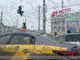 В Беларуси похолодание и дождь с мокрым снегом попытаются прогнать аномальное тепло