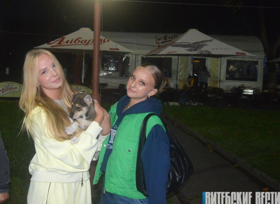 «Макслайн» и «МаксЛАЙ»: подробности очередных акций по оказанию помощи питомцам «Добрика»