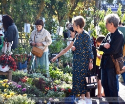 Когда и где в Витебске пройдут городские осенние ярмарки?