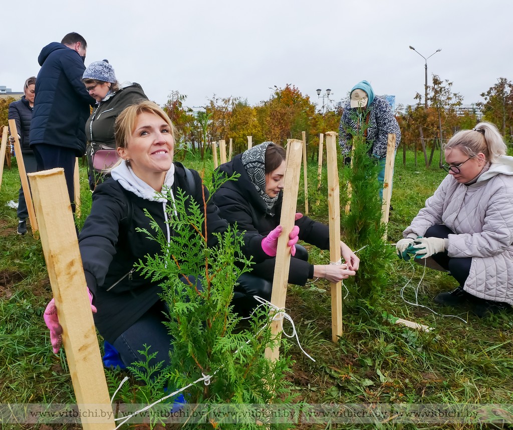 В Билево планируется создать общественное пространство по аналогии с Парком 1000-летия