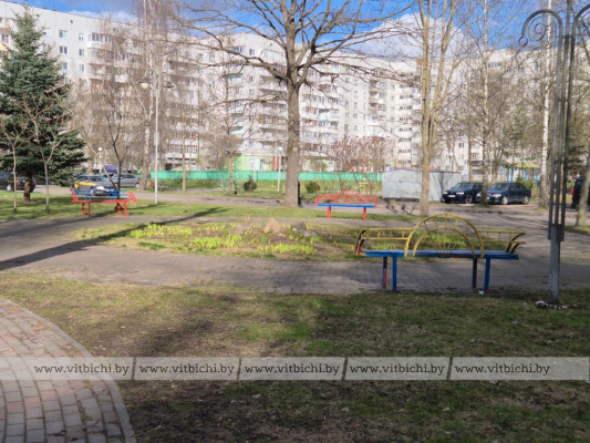 Лживый вброс ради хайпа или желание создать панику: развенчали миф о крысином яде во дворе витебской многоэтажки