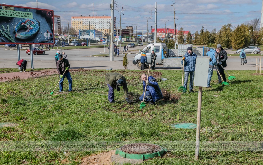 Территорию вокруг банно-оздоровительного комплекса благоустроили на субботнике в Витебске