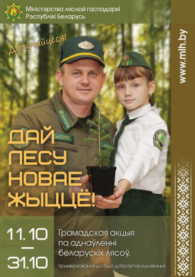 Акция «Дай лесу новае жыццё!» стартует в Беларуси 11 октября