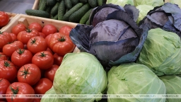 Правительство скорректировало отдельные нормы ценового регулирования