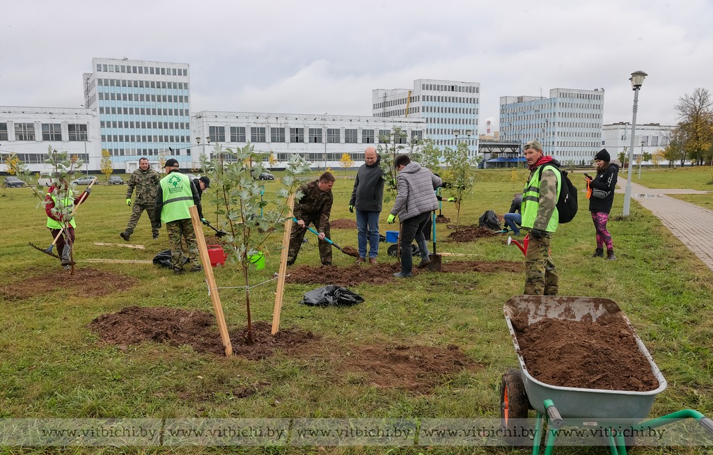 Более 46 тысяч витебчан приняли участие в общегородском субботнике