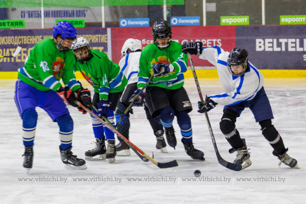 В Витебске проходит областной финал турнира «Золотая шайба»