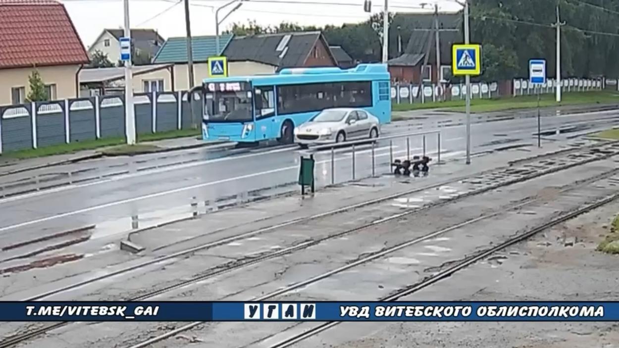 В Витебске водитель лишился прав за обгон на пешеходном переходе