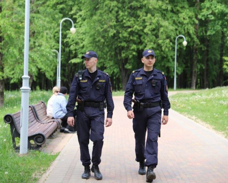 Предупреждение гибели и травматизма, преступлений и административных правонарушений в общественных местах и в местах массового отдыха граждан