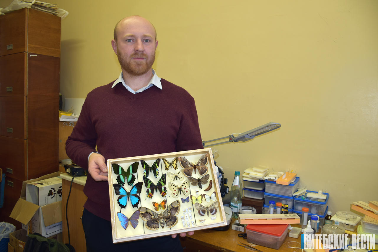 Ученый из Витебска получил грант Президента на исследование биоразнообразия бабочек в хвойных лесах