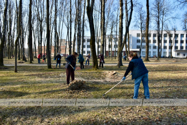 Городской субботник в Витебске: главы районов, волонтёры и семьи наводили порядок в парках и на мемориалах в Первомайском и Железнодорожном районах