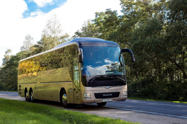 Бесплатное обучение на водителя категории «D» можно пройти в Витебске