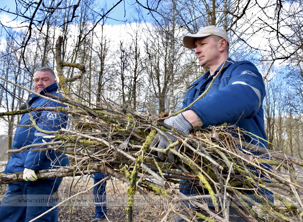 В Железнодорожном районе Витебска республиканский субботник состоялся на берегах Рубовского Дуная