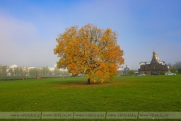 Кубок Беларуси по бодибилдингу и фитнесу, медиафутбол на стадионе ЦСК и троллей на Юрьевой горке: куда сходить в Витебске на выходных 19-20 октября