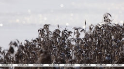 ОСВОД: из-за нестабильной погоды нигде в Беларуси еще не образовался лед безопасной толщины