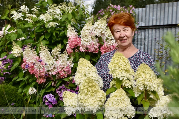 Райский уголок на Двине: история витебчанки, превратившей участок в цветочный сад