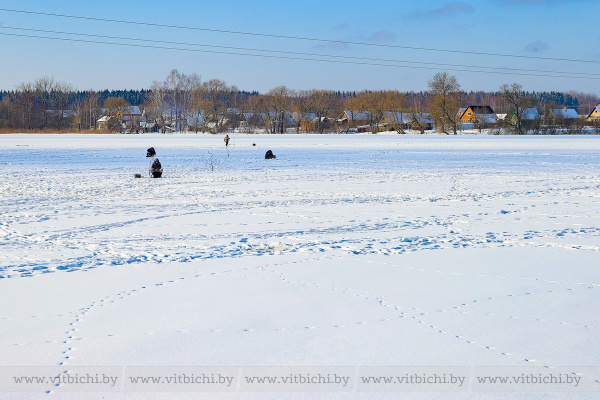 Тонкий лёд, большая опасность: ОСВОД напоминает правила безопасности на зимнем льду