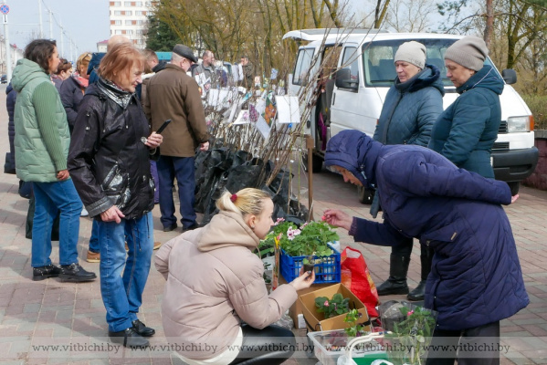 В Витебске с 4 апреля стартуют весенние ярмарки