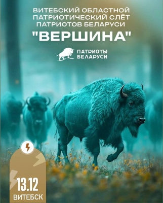 Патриотический слет «Вершина» пройдет в Витебске 13 декабря