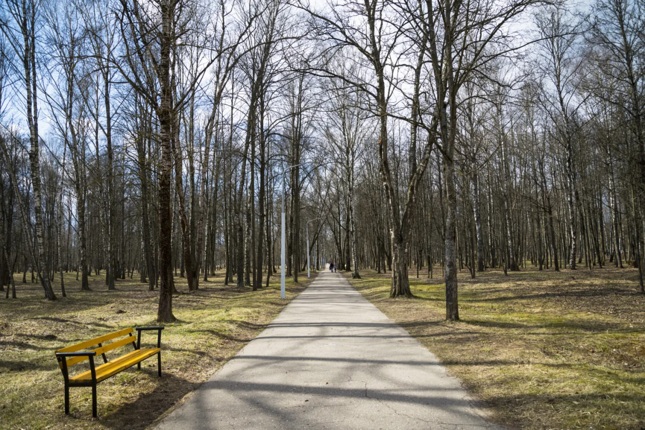 Специалисты «Горсвета» завершили реконструкцию сетей наружного освещения в парке имени Советской Армии