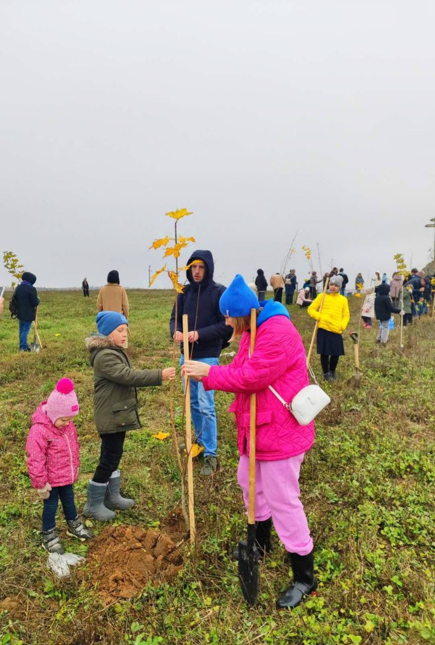 В Витебске у поклонного креста в микрорайоне Билево высадили кленовую аллею к 900-летию основания Спасо-Евфросиниевского монастыря, которое будет праздноваться в 2025 году